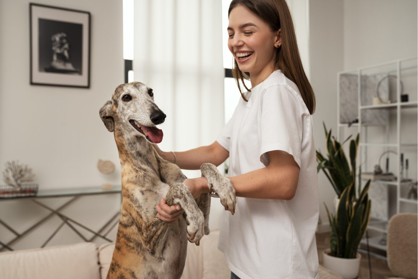 Fiche métier Zoothérapeute 2 Fiche métier Zoothérapeute