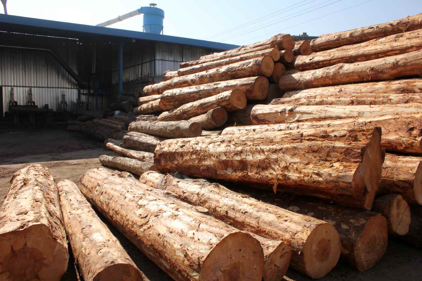 Fiche métier Responsable de scierie 1 métier Responsable de scierie