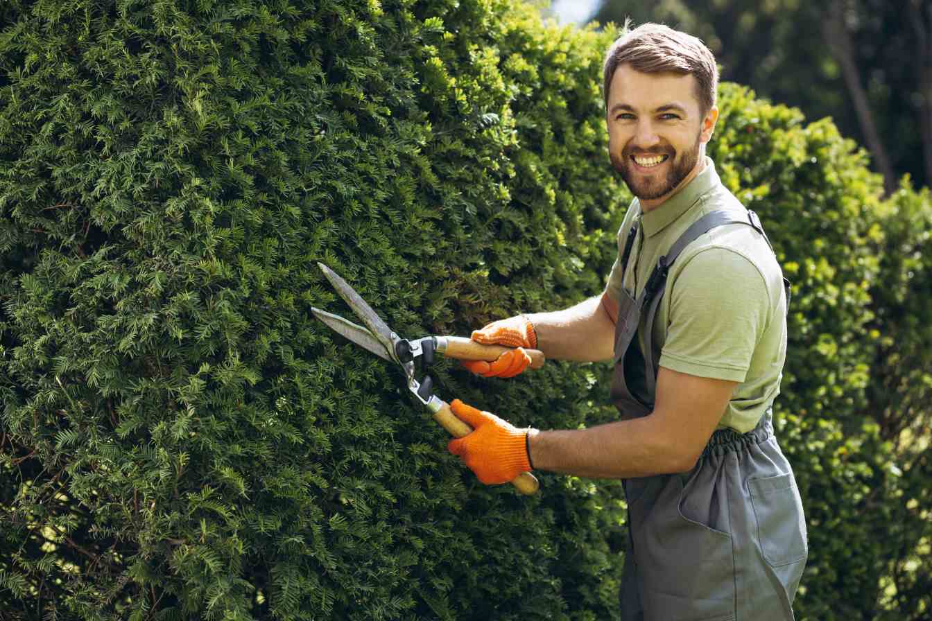 Fiche métier technicien paysagiste 24 métier technicien paysagiste