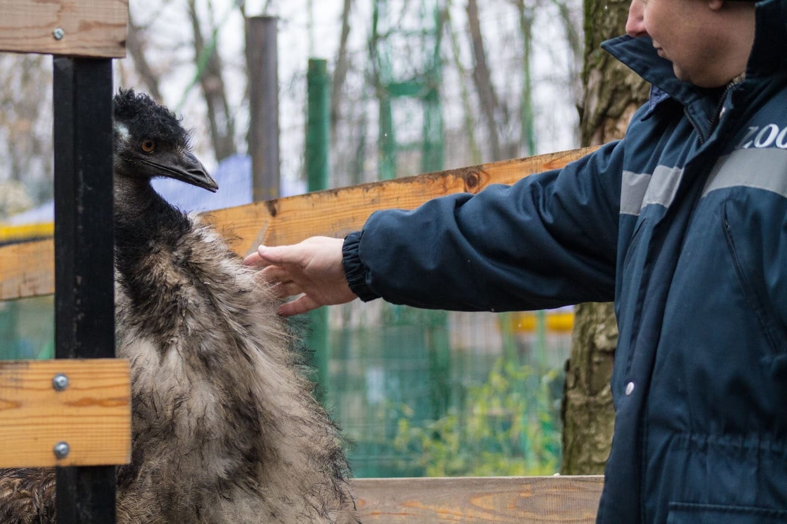 Devenir agent animalier en refuge grâce à une formation à distance 16 Devenir agent animalier en refuge grâce à une formation à distance